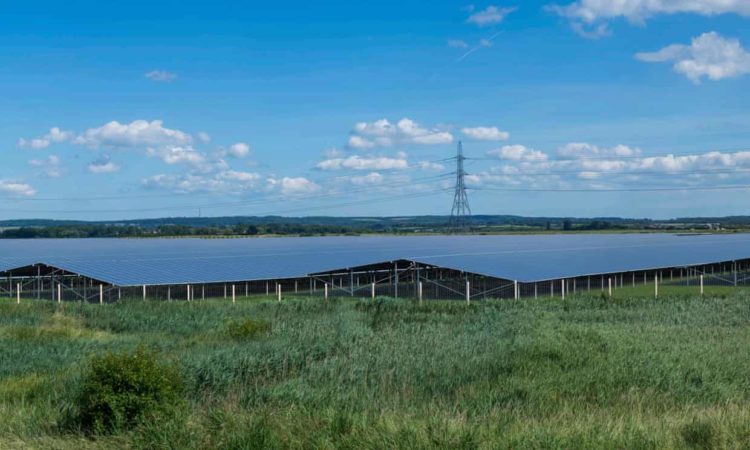 Visualisation of proposed Cleve Hill Solar Park. Photograph: Cleve Hill